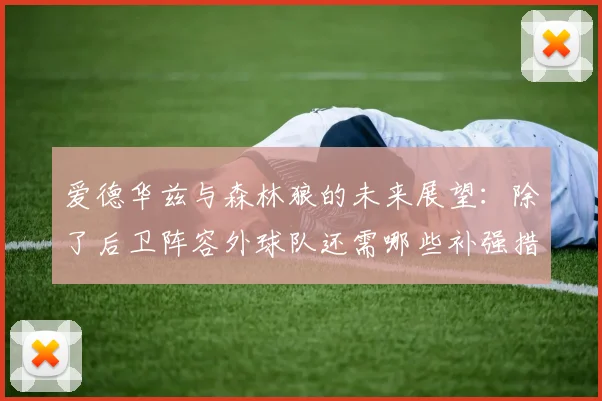 爱德华兹与森林狼的未来展望：除了后卫阵容外球队还需哪些补强措施