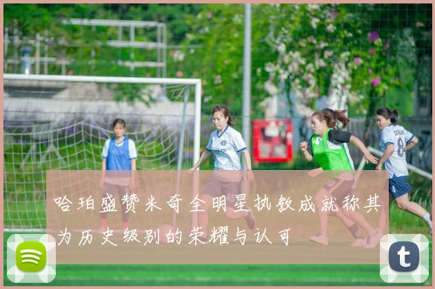 哈珀盛赞米奇全明星执教成就称其为历史级别的荣耀与认可